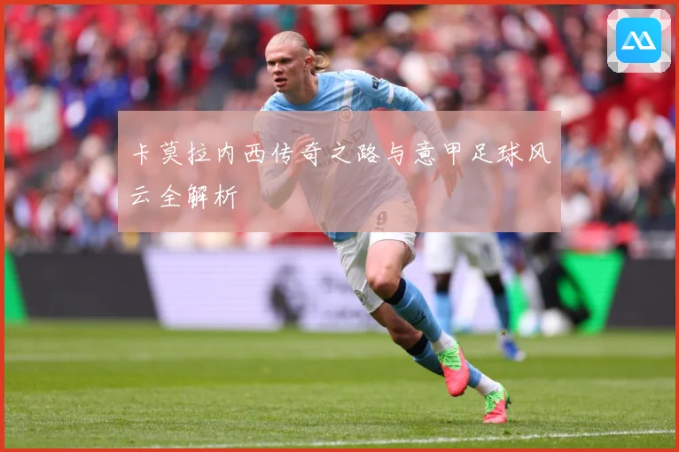 卡莫拉内西传奇之路与意甲足球风云全解析