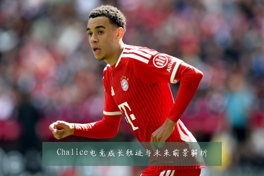 Chalice电竞成长轨迹与未来前景解析